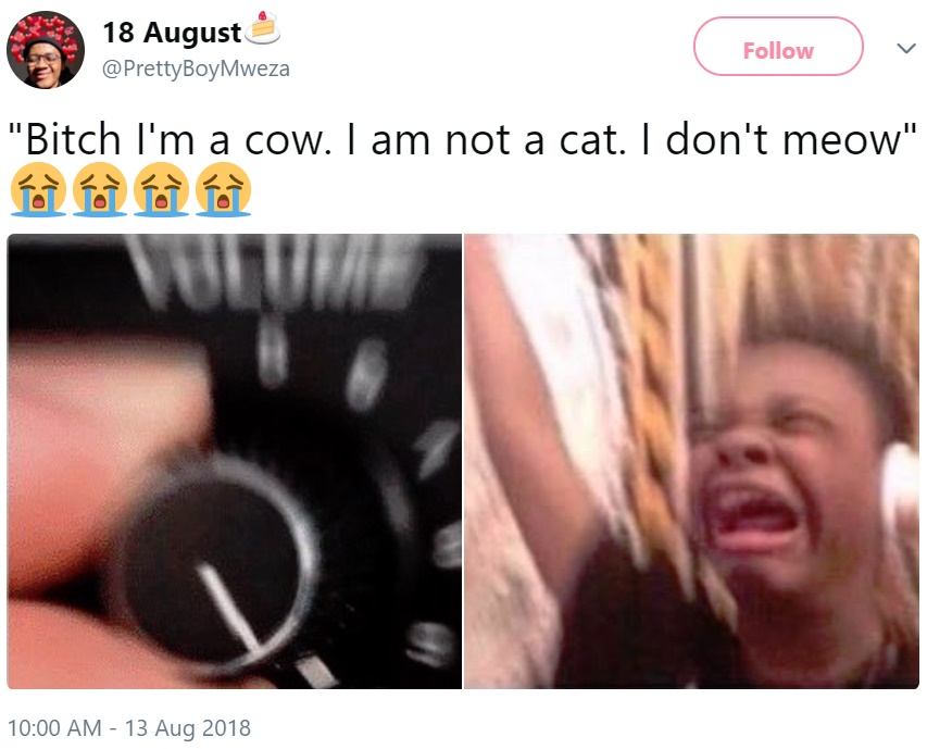 Bitch, I'm a Cow