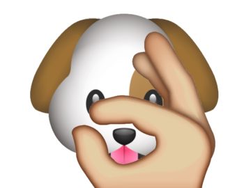 Челлендж #snootchallenge