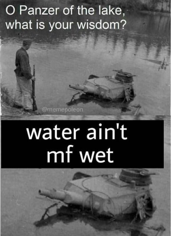 Мудрый танк озера