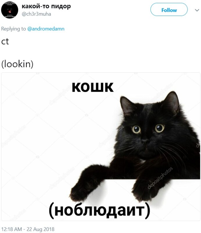 Русские мемы (проникают на Запад)