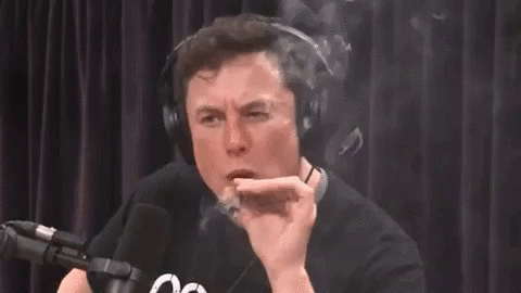 Илон Маск с косяком, Илон Маск курит траву, Илон Маск и марихуана