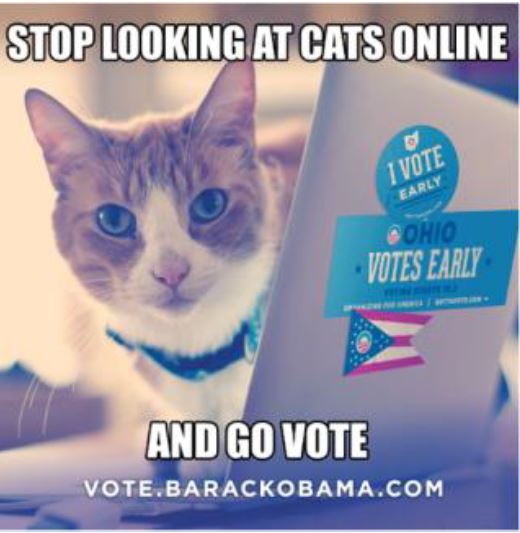 Мемы с животными коты политика