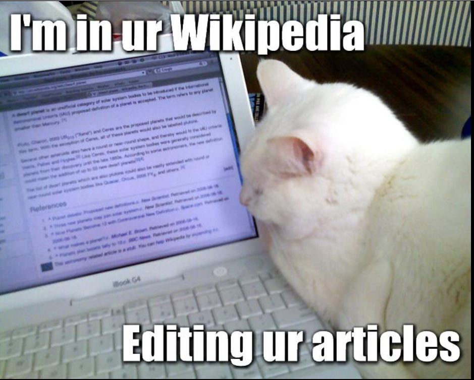 Мемы с животными LOLcat Йа ф твайей Википедии