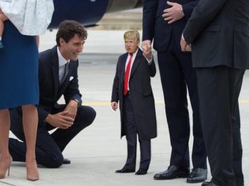 Tiny Trump Canada