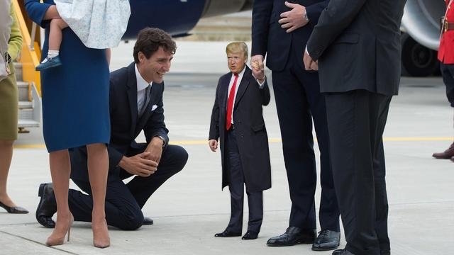 Tiny Trump Canada