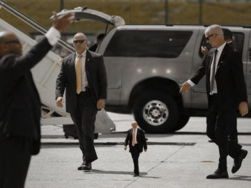 Tiny Trumps - I made Trump 2 ft tall