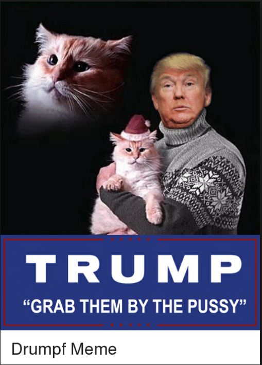 Мемы с животными Трамп Пусси