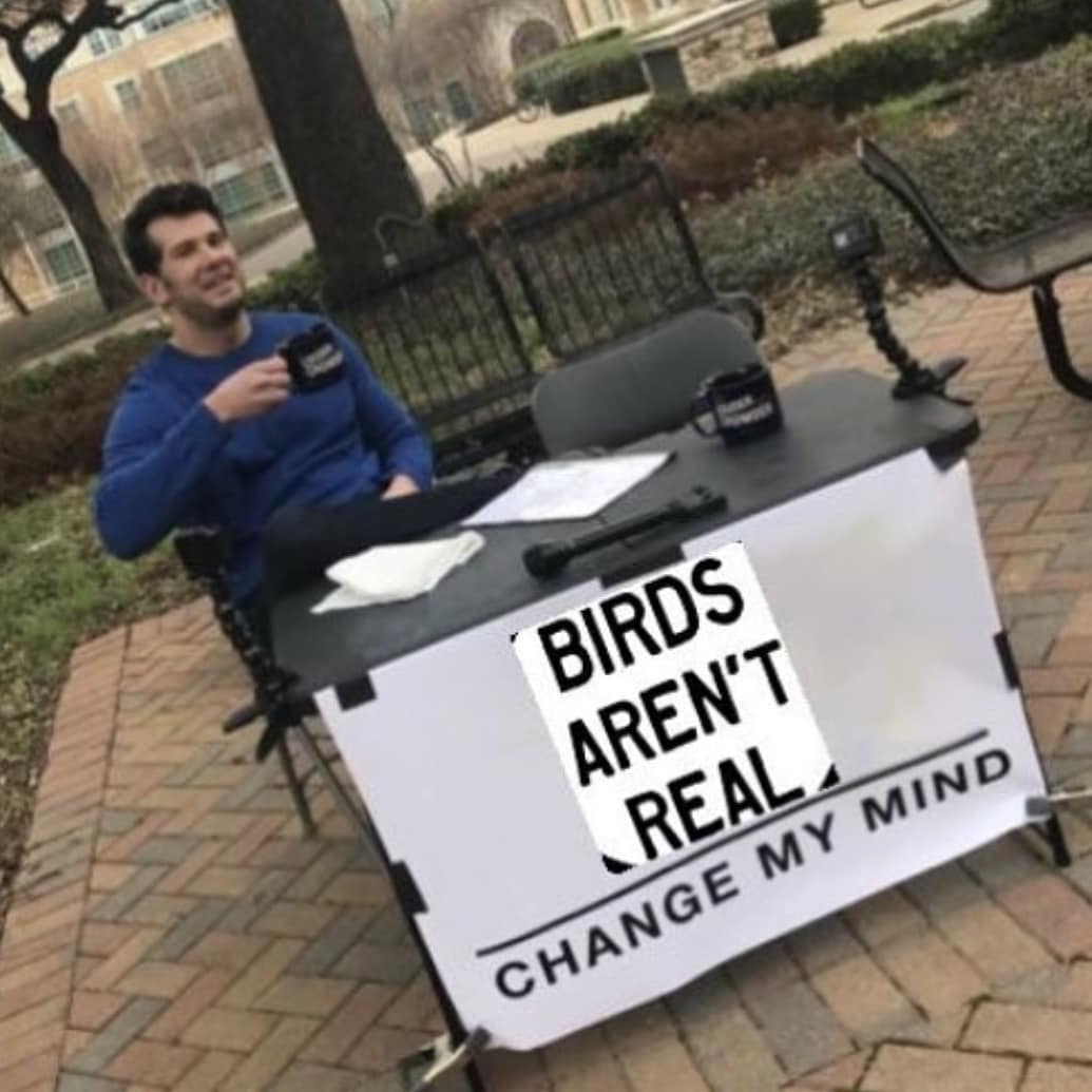 Птиц не существует