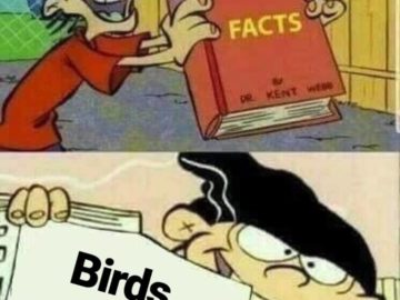 Птиц не существует