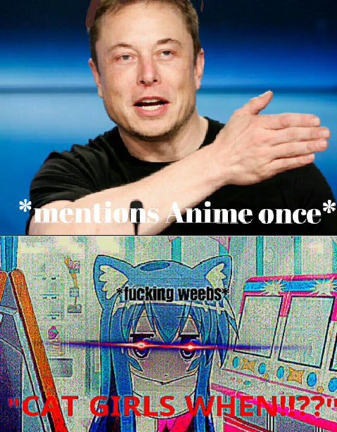 Илон Маск любит аниме