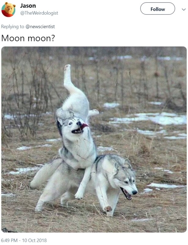 Moon Moon