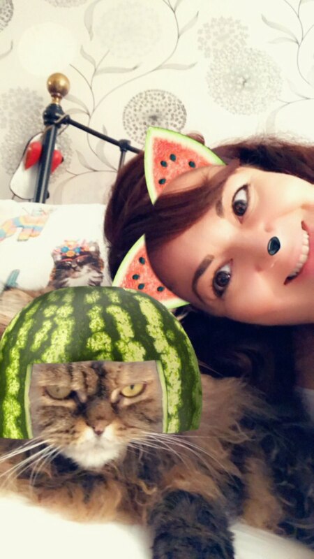 Кошачьи фильтры Snapchat