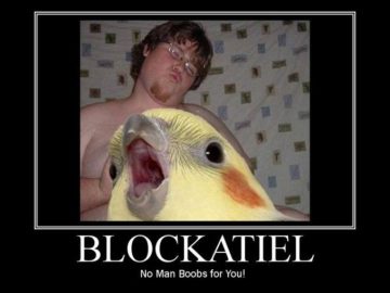Blockatiel No Man Boobs For You