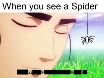 Когда видишь паука