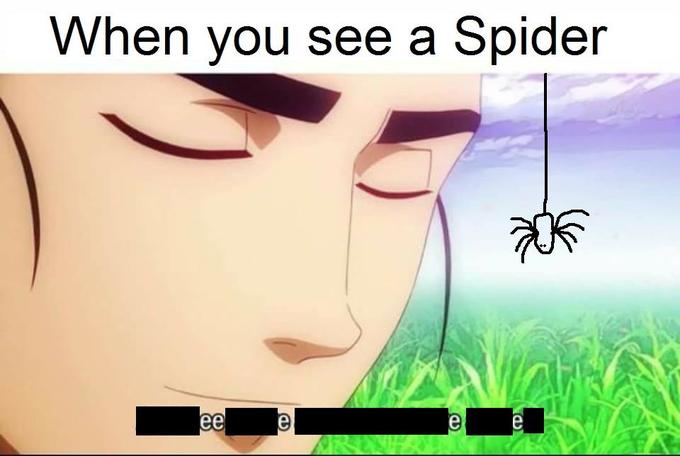 Когда видишь паука