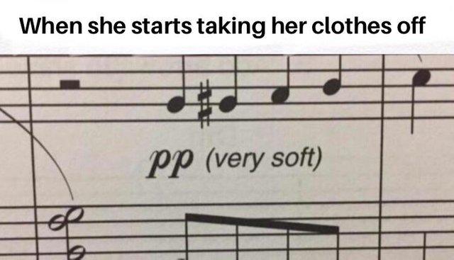 PP (very soft)