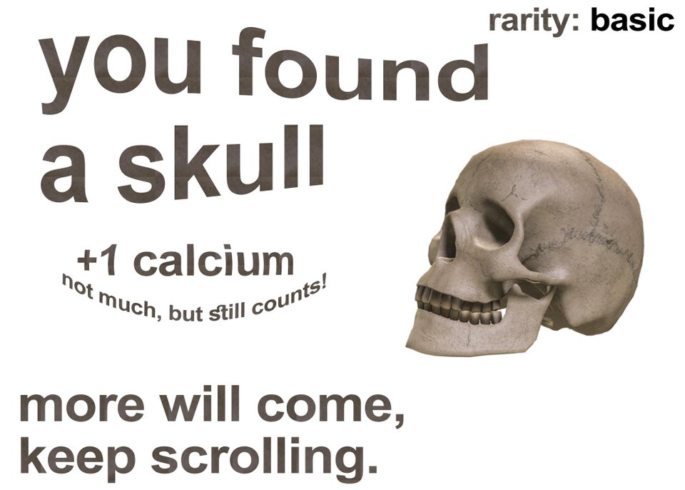 Коллекционный череп
