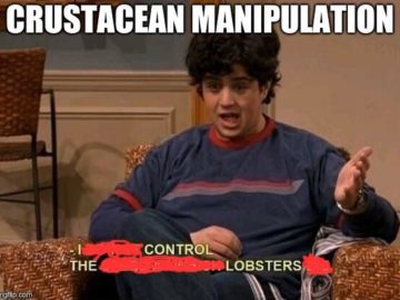 Featured image of post I Do Not Control The Speed At Which Lobsters Die Hades He was 70 years old