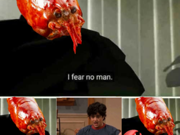I Do Not Control the Speed at Which Lobsters Die