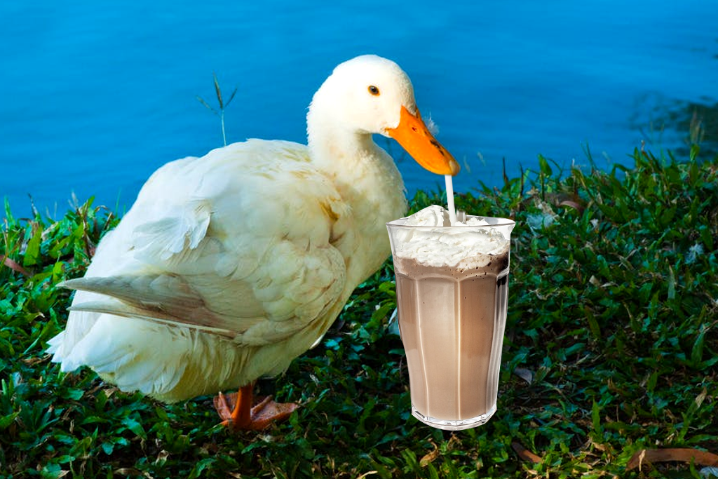 Milkshake Duck попивает молочный коктейль