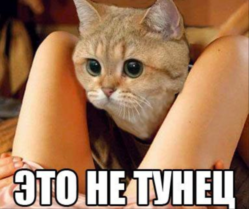 я люблю твою пизду занимался алкоголем