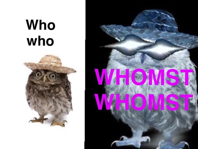 Whomst - Owl