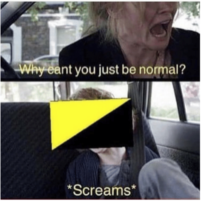 Why Can't You Just Be Normal - Ancap