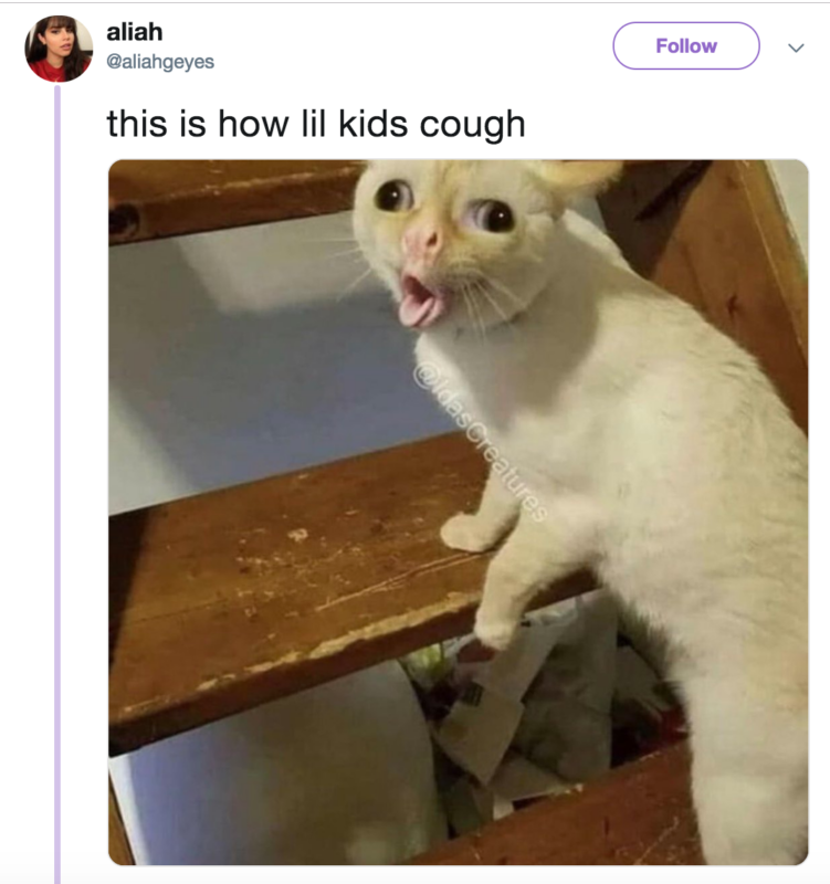 Кашляющий кот (Coughing Cat) - откуда мем с котом, который кашляет
