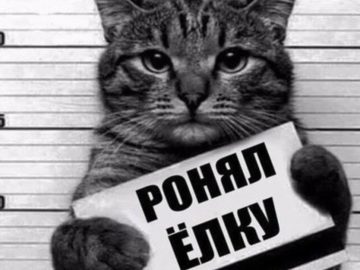 Коты роняют елки