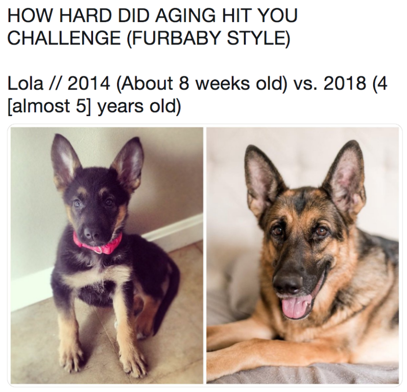 how hard did aging hit you