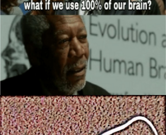 What if We Used 100% of the Brain