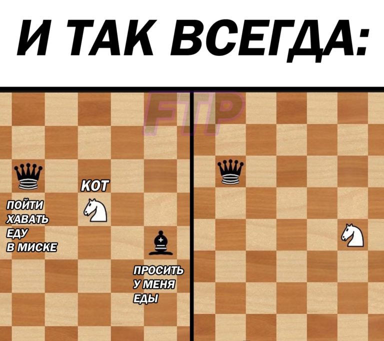 Шахматные мемы