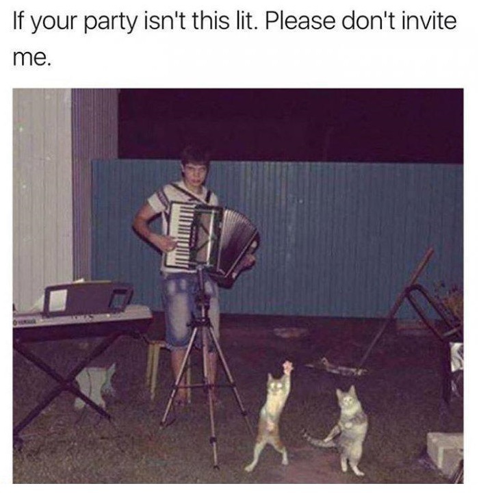 если ваша вечеринка не похожа на это