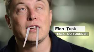 Elon Tusk Илон Бивень