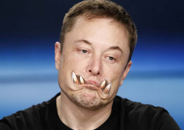 Elon Tusk Илон Бивень