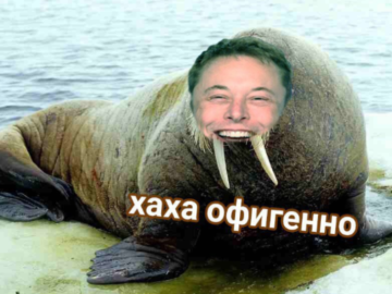 Elon Tusk Илон Бивень