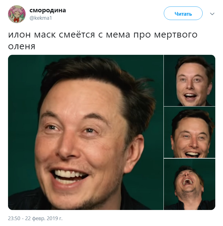 Илон Маск и мертвый олень