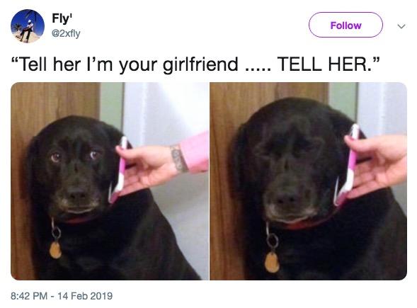 Черная собака с телефоном