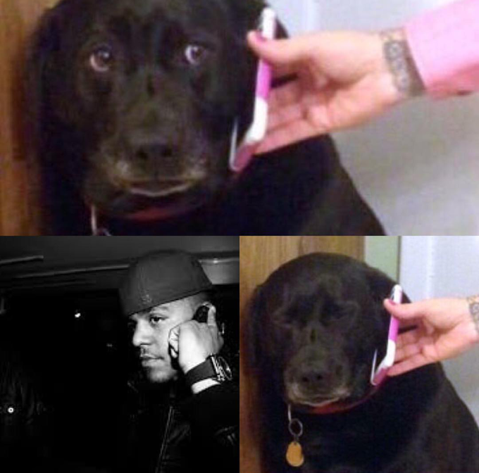 Черная собака с телефоном