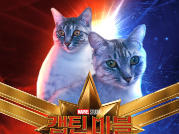 коты Капитан Марвел