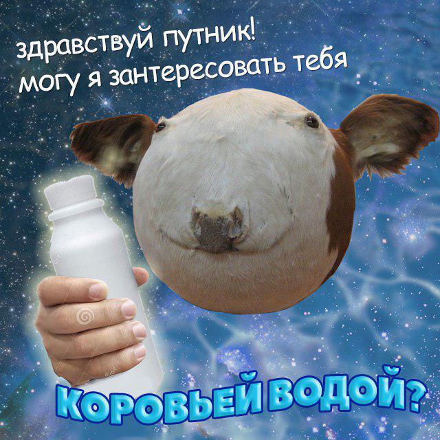 Сферическая корова мем