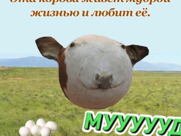 Сферическая корова мем