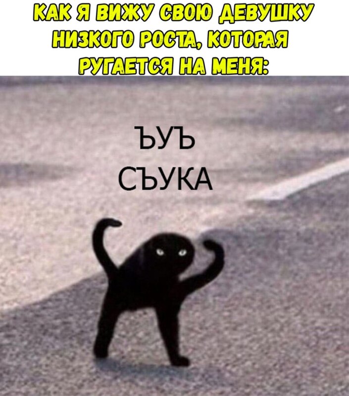 ЪУЪ Съука - откуда мем с черным котом с руками