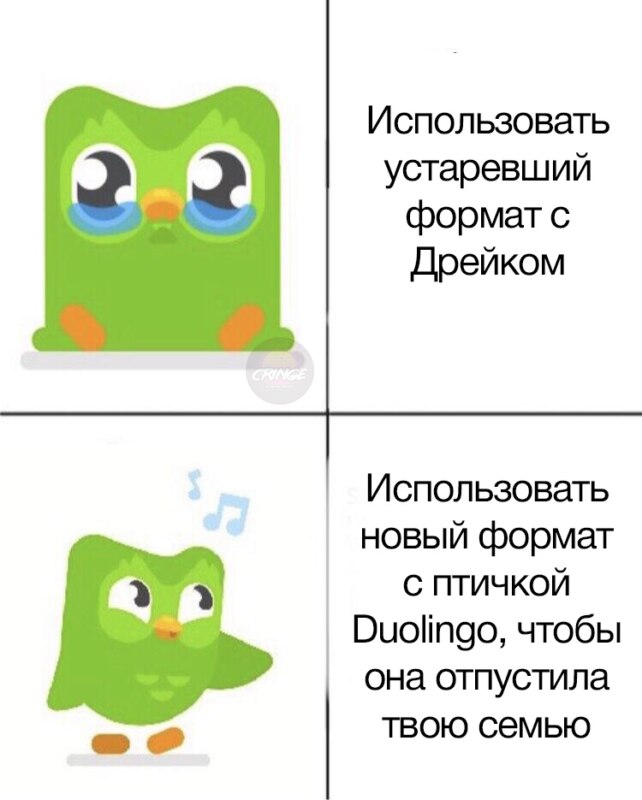 Duolingo мем