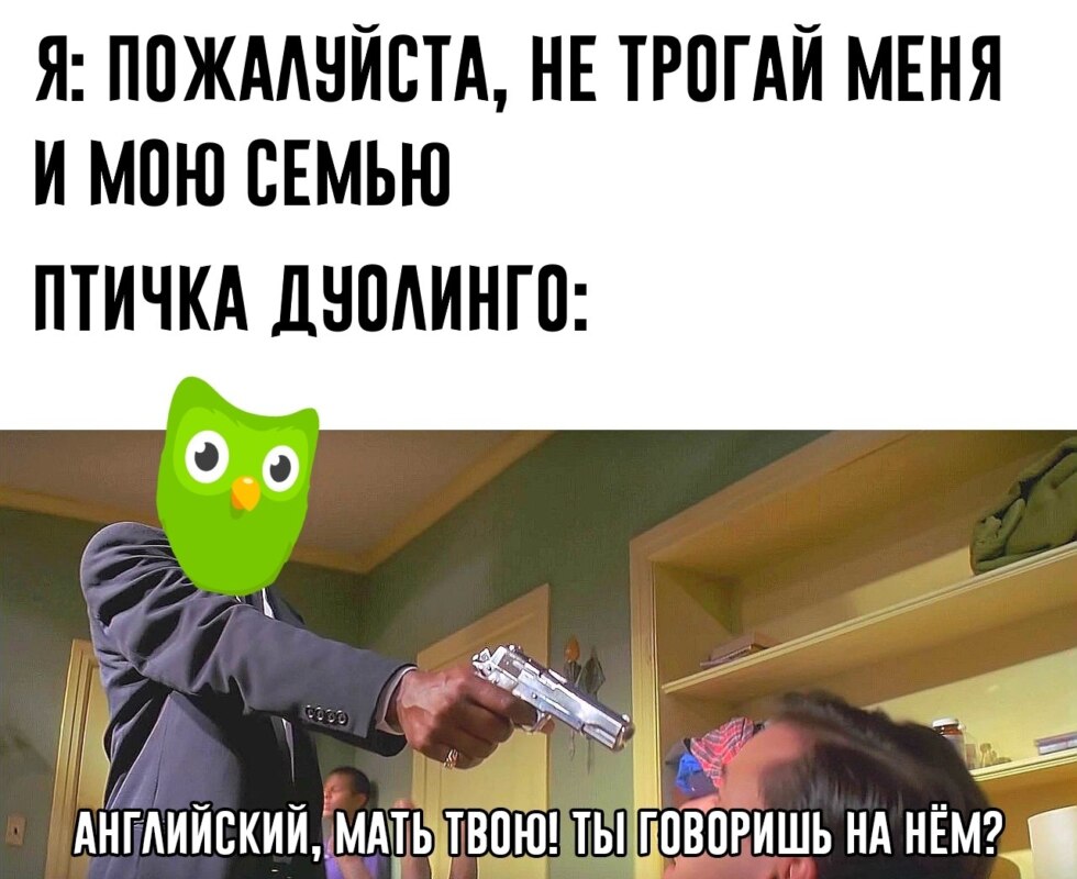 Мем с совой Duolingo