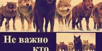 Мем неважно кто напротив тебя