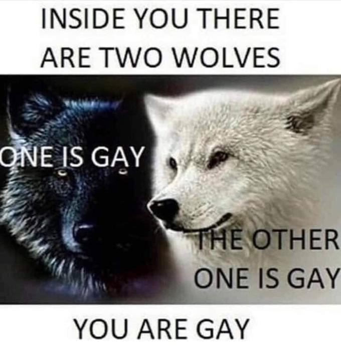 Внутри тебя есть два волка