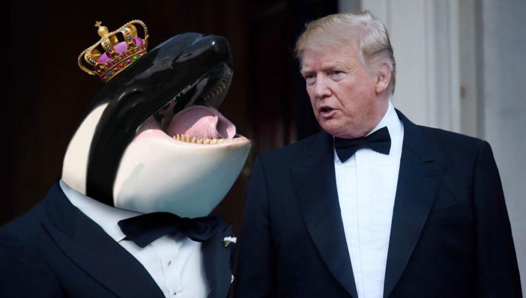 Трамп с принцем китов