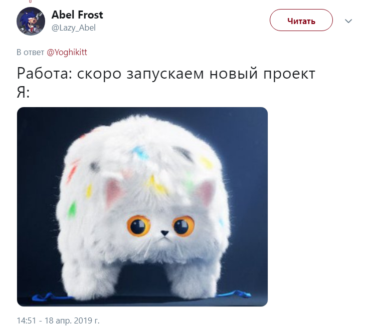 Кот-символ России на Европейских играх