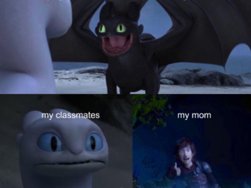 Toothless dragon and Light Fury memes